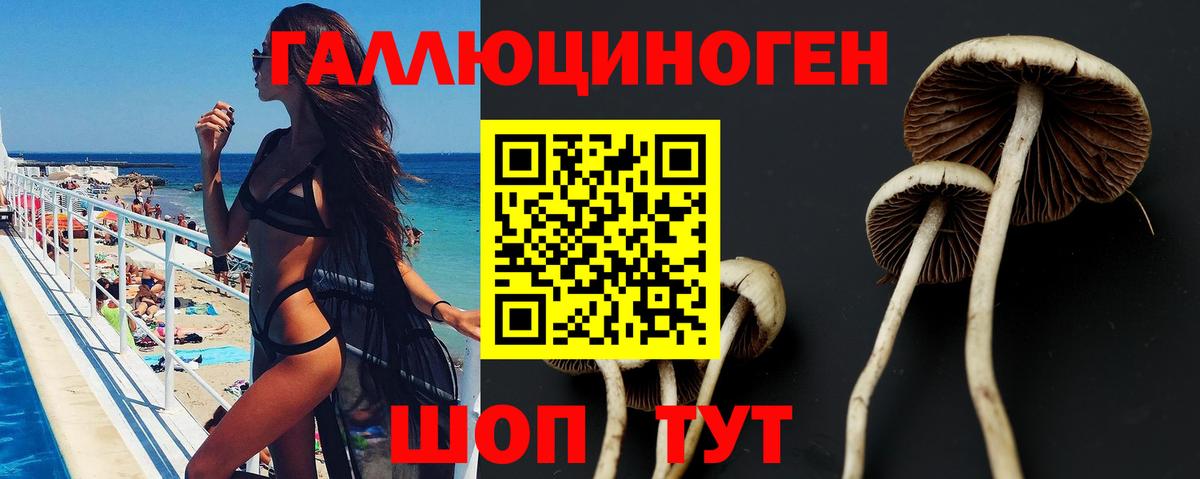 Серпухов  Псилоцибиновые грибы Psilocybe  Вход с VPN 